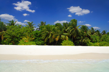 Beautiful tropical beach with coconut palms and white sand