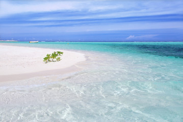 Beautiful tropical crystal clear sea