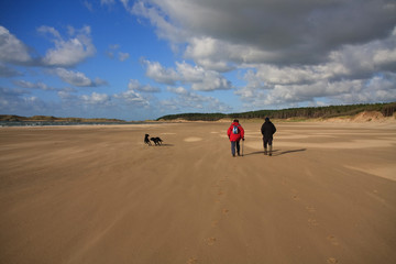 On Ynys Llanddwyn an Island off Newborough Forest