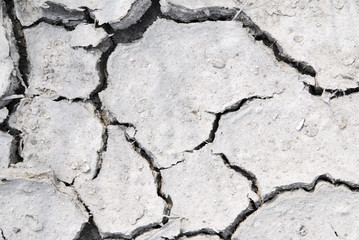 Dry ground with a net of cracks