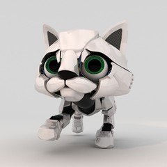 Robot Kitten, Front