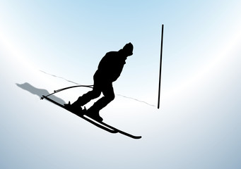 Ski Racer