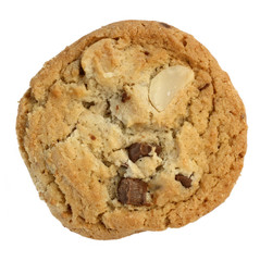 Chocolate Chip Cookie