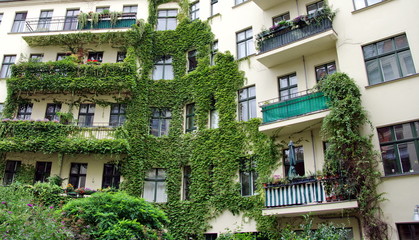 Fototapeta na wymiar Façade recouverte de lierre avec balcons; Berlin, Allemagne.