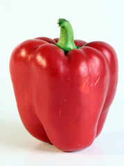 Close-up picture of shiny pepper