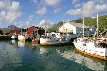 Fototapeta na wymiar Port rybacki na Lofotach