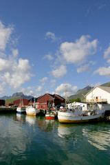 Fototapeta na wymiar Port de pêche dans les iles Lofoten