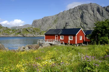 Fototapete Rund Lofoten Islands - Red house along the fjord © AlexQ