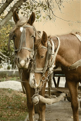 The love is fine in the display