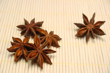 Fototapeta premium Sternanis