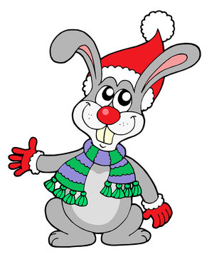 Cute rabbit in Christmas hat