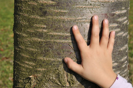 Kinderhand am Baum