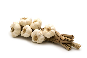 bunch garlic on white background