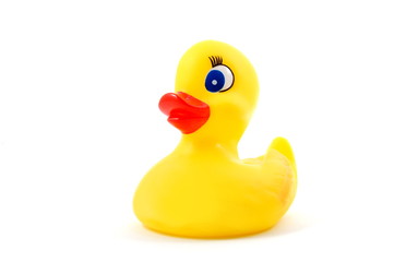 isolated toy rubber duck for playing in the bathroom
