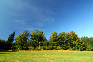 Meadow, forest and blue sky - romantic summer countryside