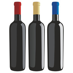 Wine Bottles - Classic Shape
