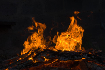 Fototapeta premium fire series: burning flame and firewood