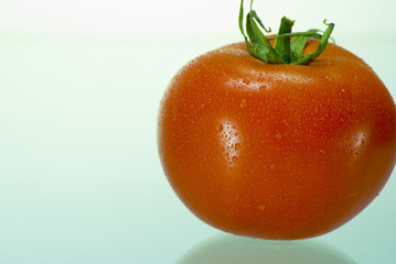 A shot of a fresh looking tomato