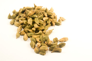 Cardamom isolated on white