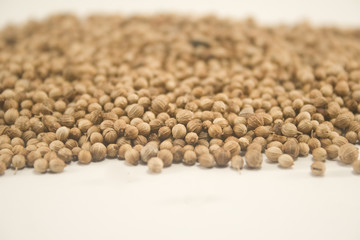 Coriander seeds isolated on white