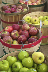 Apples at the farmer's market