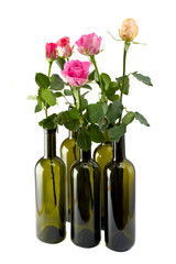 colorful roses in six empty wine bottles