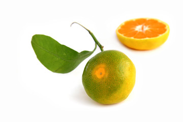 Lime tangerine with leaf
