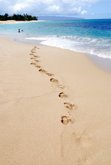 Tropical beach scene on a sunny day in Oahu, Hawaii