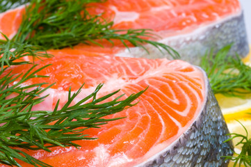 fresh raw salmon