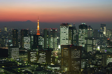 Fototapeta premium Tokyo night