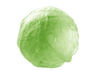Head of cabbage.
