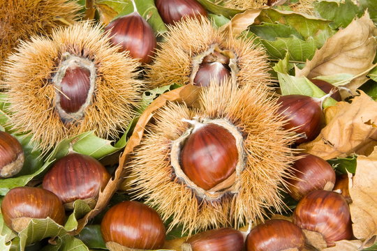 l'autunno