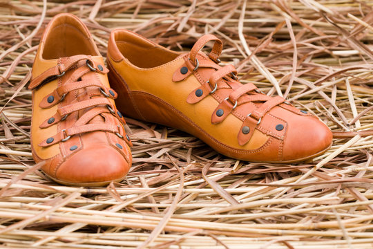 New female shoes from a leather on a background of a dry grass.