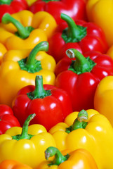 Background from juicy red and yellow pepper