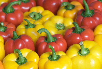 Background from juicy red and yellow pepper