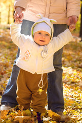 The baby in autumn park