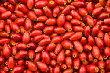 Background of bright red rosehips