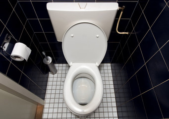 Toilet in blue and white