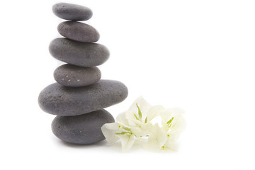 Obraz na płótnie Canvas zen stones with bouganvilla flowers isolated. spa background