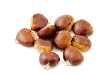 castagne sfondo bianco