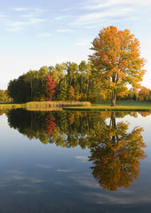 Reflection of the fall colors