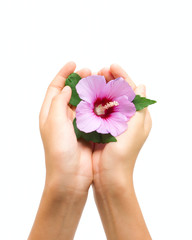 Flower in human hands isolated on white