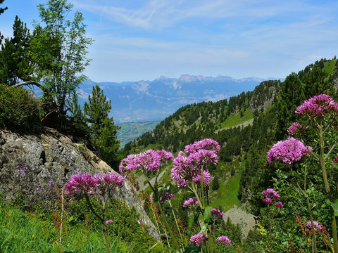 hauteur de chamrousse