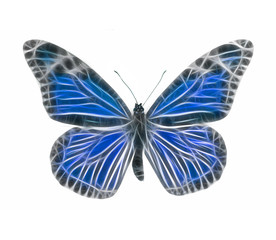 Fototapeta na wymiar Energetischer Schmetterling
