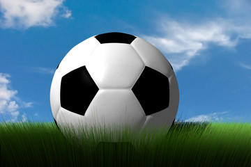 Soccer Ball in the grass