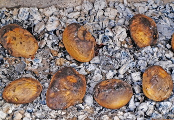 Potato,  baked on coals, wonderful meal.