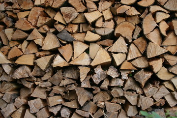 Brennholz © SuKrauß