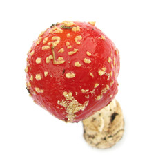 Fly Agaric Amanita muscaria mushroom