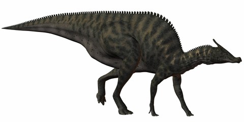 Obraz na płótnie Canvas Saurolophus Angustirostris-3D Dinosaurier