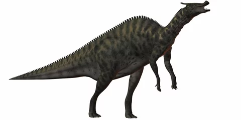 Rucksack Saurolophus Angustirostris-3D Dinosaurier © Andreas Meyer